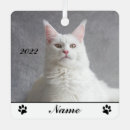 Search for cat in frame ornaments Tabby