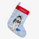 Search for siberian husky christmas stockings Animal