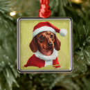 Search for dachshund ornaments Fun