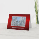 Search for duck christmas cards Mallard
