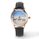 Search for deer watches White tailed deer