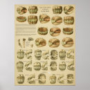 Search for vintage dental posters Tooth