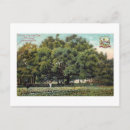 Search for jacksonville florida postcards Tourist