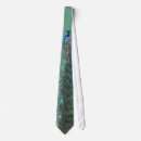 Search for peacock ties Teal