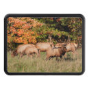 Search for cow trailer hitch covers Calf