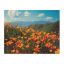 Search for california poppy art Blossom