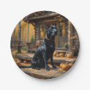 Search for mountain plates Animals