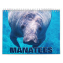 Search for manatee gifts Mammal