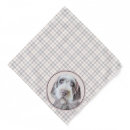 Search for wirehaired pointing griffon gifts Korthals