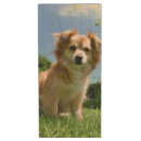 Search for dog usb flash drives Portrait