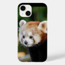 Search for panda iphone cases Cute