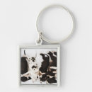 Search for great dane keychains Nature