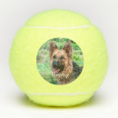 Search for cat tennis balls Pet