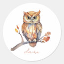 Search for owl stickers Birds