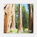 Search for redwood national park magnets Redwoods