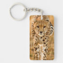 Search for cheetah keychains Animal