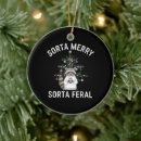 Search for raccoon ornaments 2025