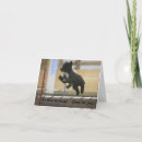 Search for portuguese water dog cards Pwd