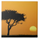 Search for sunrise tiles Africa