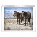 Search for mustang calendars Nature