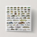 Search for fish buttons Freshwater