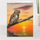 Search for get well soon owl Wildlife