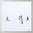 Search for soccer posters Photography