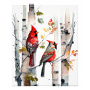 Search for female cardinal art Nature