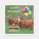 Search for scottish highland cow decor Birthday