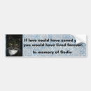 Search for in loving memory memorial bumper stickers Cat