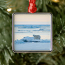Search for norway ornaments Ice