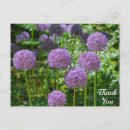 Search for photography thank you cards Purple
