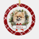 Search for poms ornaments Red