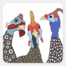 Search for guinea fowl Animal