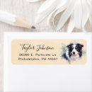 Search for border collie return address labels Animal lover