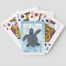 Search for turtle playing cards Marine life