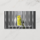 Search for bail bonds business cards Bondsmen