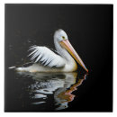 Search for pelican tiles Bird