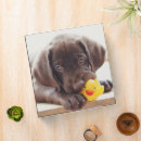 Search for puppy binders Retriever