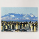 Search for penguin puzzles Winter
