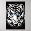 Search for tiger eyes posters White