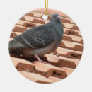 Search for pigeon ornaments Adorable