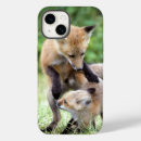 Search for fox iphone cases Animals in the wild