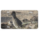 Search for arizona license plates Bird