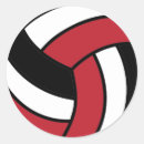 Search for volleyball stickers Spike