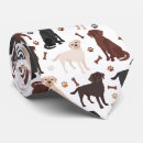 Search for chocolate lab ties Pattern
