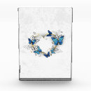 Search for butterfly awards Blue