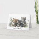 Search for kitten birthday cards Cat