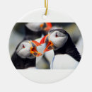 Search for wildlife ornaments Ocean