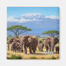 Search for kilimanjaro Elephants